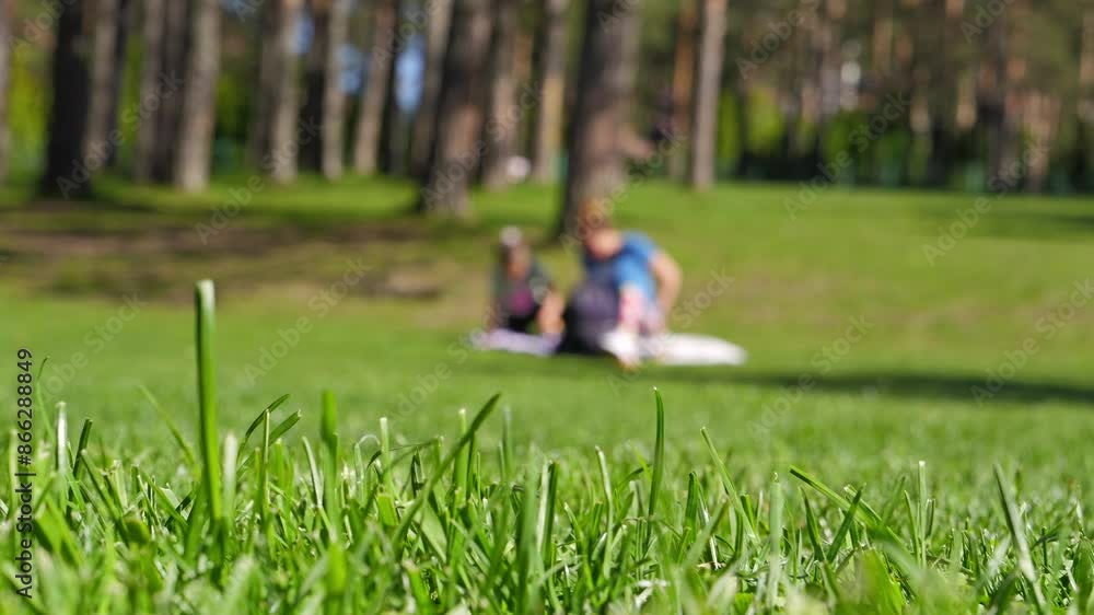 People recreating on sunny day in a park, slow motion, selective focus on foreground shallow DOF. People recreating on sunny day in a park, slow motion, selective focus on foreground shallow DOF.