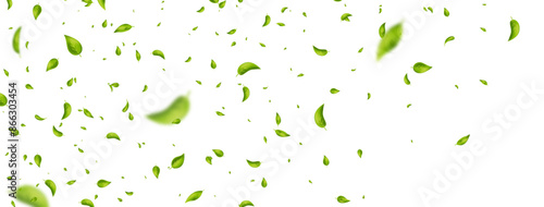 Green flying leaves frame. Wave foliage ornament. Vegan, eco, organic design element. Leaf falling on white banner. Cosmetic pattern border. Fresh tea background. Beauty product. Vector illustration.