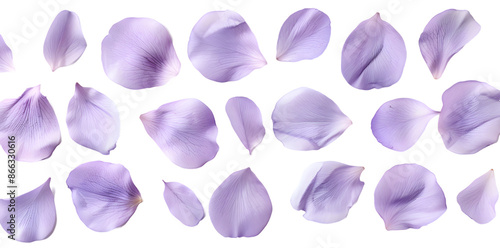 Wallpaper Mural Collection of soft purple flower petals isolated on transparent background Torontodigital.ca
