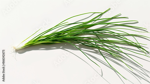 Closeup of an entire chives, on transparent background, a photorealistic closeup of a floating entire chives, against a pure white background