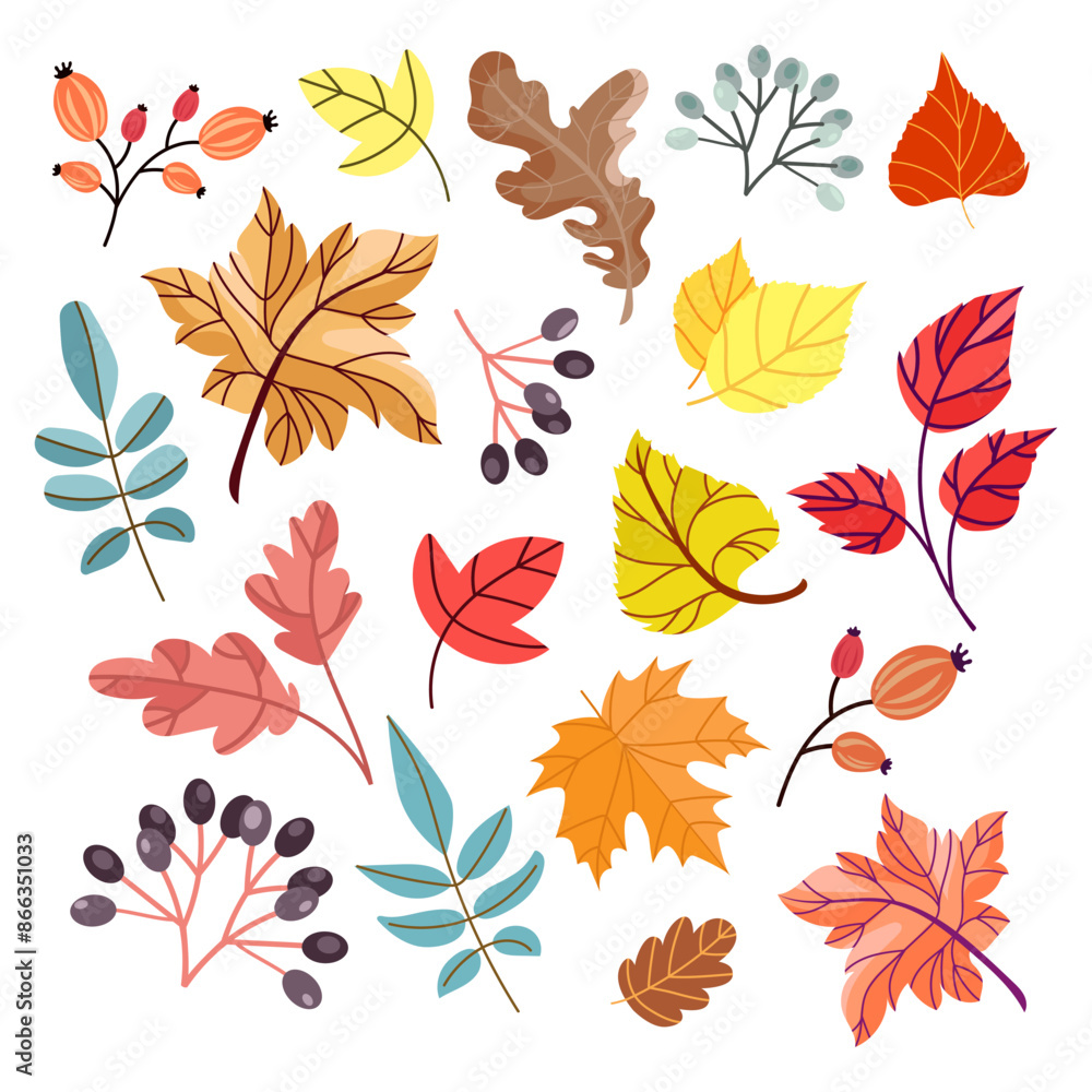 Colorful autumn leaves and berries set. Autumn falling leaves isolated on white background. Foliage collection.Seasonal design elements. Vector illustration Colorful autumn leaves and berries set. Autumn falling leaves isolated on white background. Foliage collection.Seasonal design elements. Vector illustration