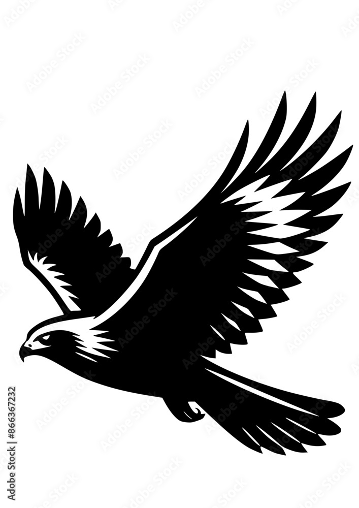 Hawk SVG, Eagle SVG, Bird SVG, Hunting SVG, Predator SVG, Hawk Silhouette, Hawk Vector, Clipart, Cut file for Cricut SVG, JPG, PNG Hawk SVG, Eagle SVG, Bird SVG, Hunting SVG, Predator SVG, Hawk Silhouette, Hawk Vector, Clipart, Cut file for Cricut SVG, JPG, PNG