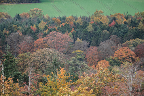 Autumn Colours Looking Beautiful 