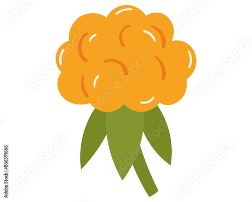 Fruit cloudberry in cartoon hand drawn simple style. Editable variable color