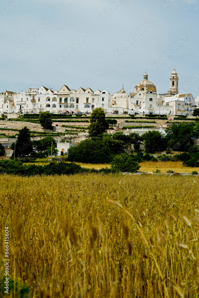 Fototapeta premium La città bianca di Locorotondo, Brindisi, Puglia. Italia