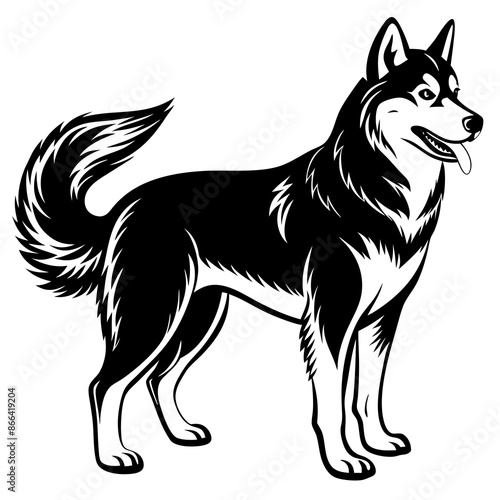 Siberian husky dog silhouette full body standing  for graphic design vector and illustration on white Background