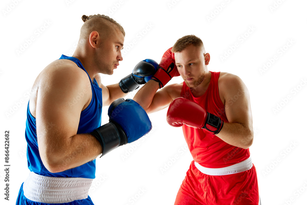 Two fighters in midst of sparring session, red competitor against blue competitor isolated white studio background. Close up photo. Concept of professional combat sport, healthy lifestyle, competition Two fighters in midst of sparring session, red competitor against blue competitor isolated white studio background. Close up photo. Concept of professional combat sport, healthy lifestyle, competition