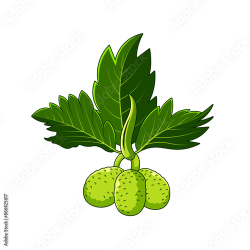 Breadfruit cartoon, digital art illustration
