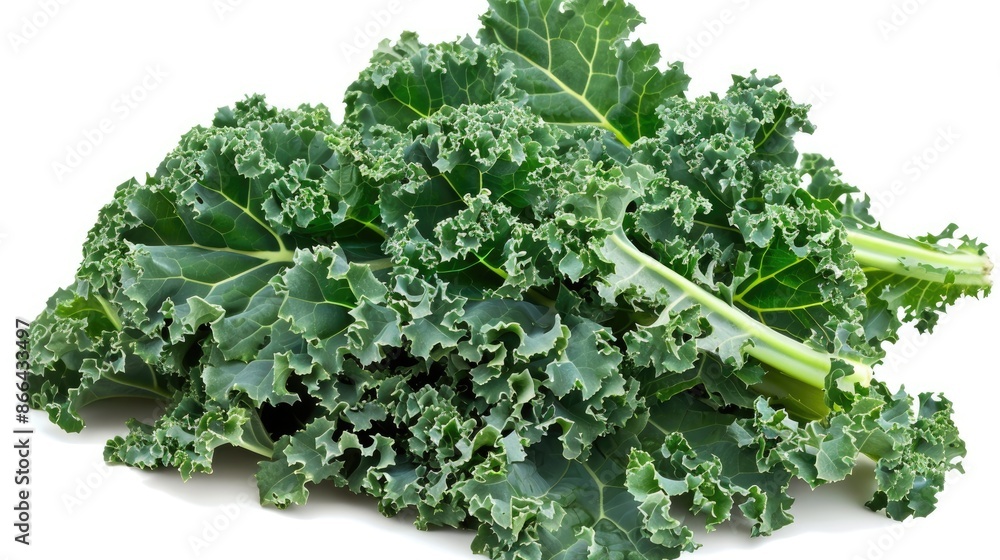 Kale leaves on white background Kale leaves on white background