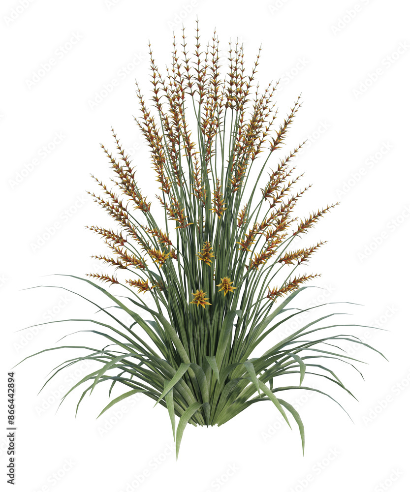 Albero con e senza foglie di vari colori verdi, gialle, rosse o, arancioni o multicolore fondo trasparente e isolato Albero con e senza foglie di vari colori verdi, gialle, rosse o, arancioni o multicolore fondo trasparente e isolato