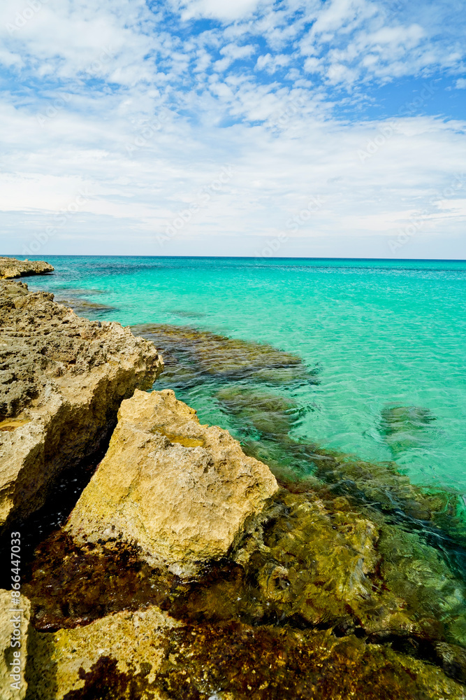 Torre San Leonardo, Bari, Puglia. Italy Torre San Leonardo, Bari, Puglia. Italy