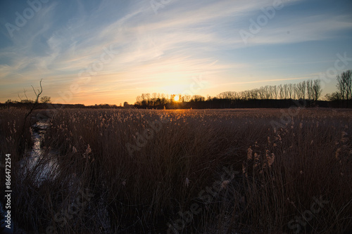 Sonnenaufgang in Brenner Moor bei Bad Oldesloe, Deutschland photo