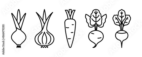 Onion, garlic, carrot, beet, radish - vegetables line icon. Root vegetables linear illustration. Icon set, thin stroke, editable line