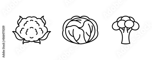 Vegetable line icons - cauliflower, cabbage, broccoli. Edible green plants.  Different type of cabbages. Minimalist simple linear illustration. Editable icons, thin line