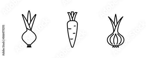 Onion, garlic, carrot - vegetables line icon. Root vegetables linear illustration. Ingredients for cooking. Icon set, thin stroke, editable line