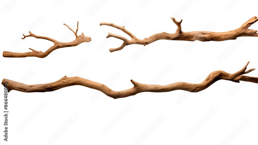 Set of driftwoods, cut out on transparent png background.
Set of driftwoods, cut out on transparent png background.