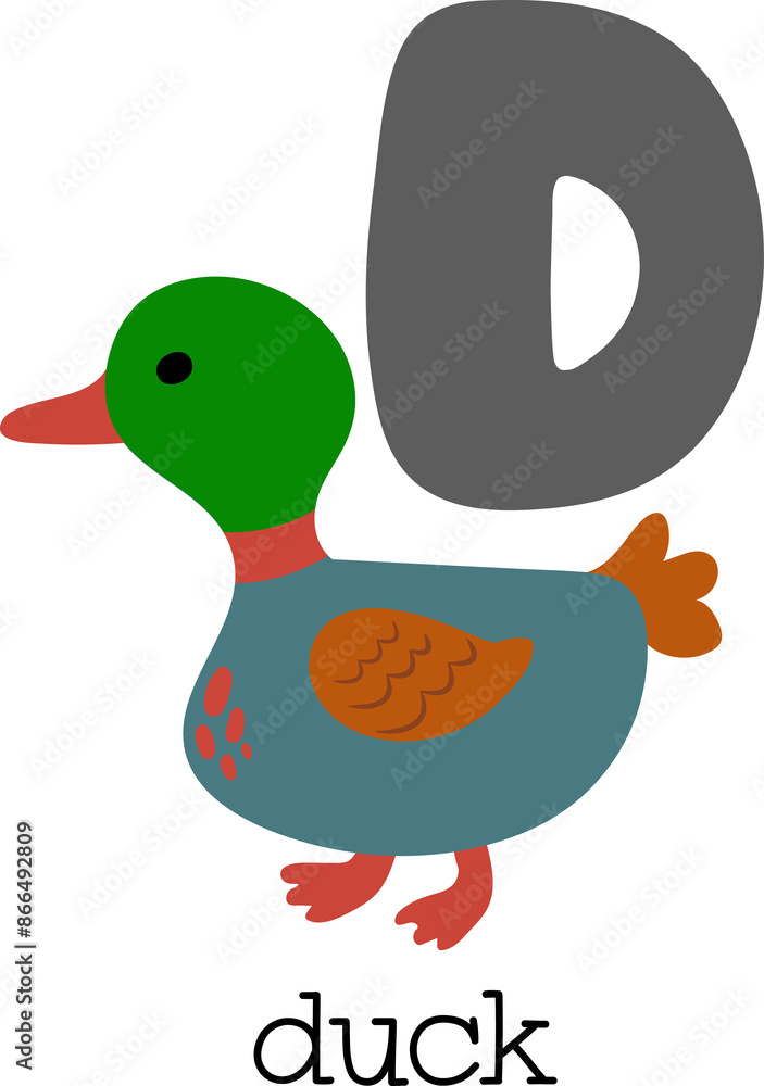 Fototapeta premium Educational illustration of letter D from alphabet.