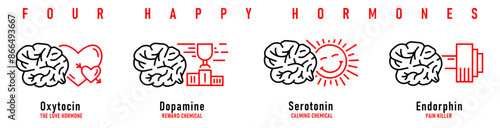 Four happy hormones. Dopamine, endorphin, serotonin, oxytocin