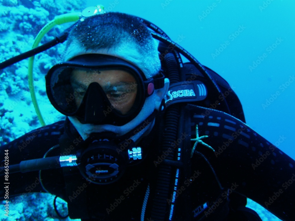 custom made wallpaper toronto digital"Black Sea" does not mean "a sea with dark, black water", but "a sea in the north". After all, the Turks called this sea Kara-Deniz, the ancient tribes that spoke Iranian languages ​​- Ahshav (dark),