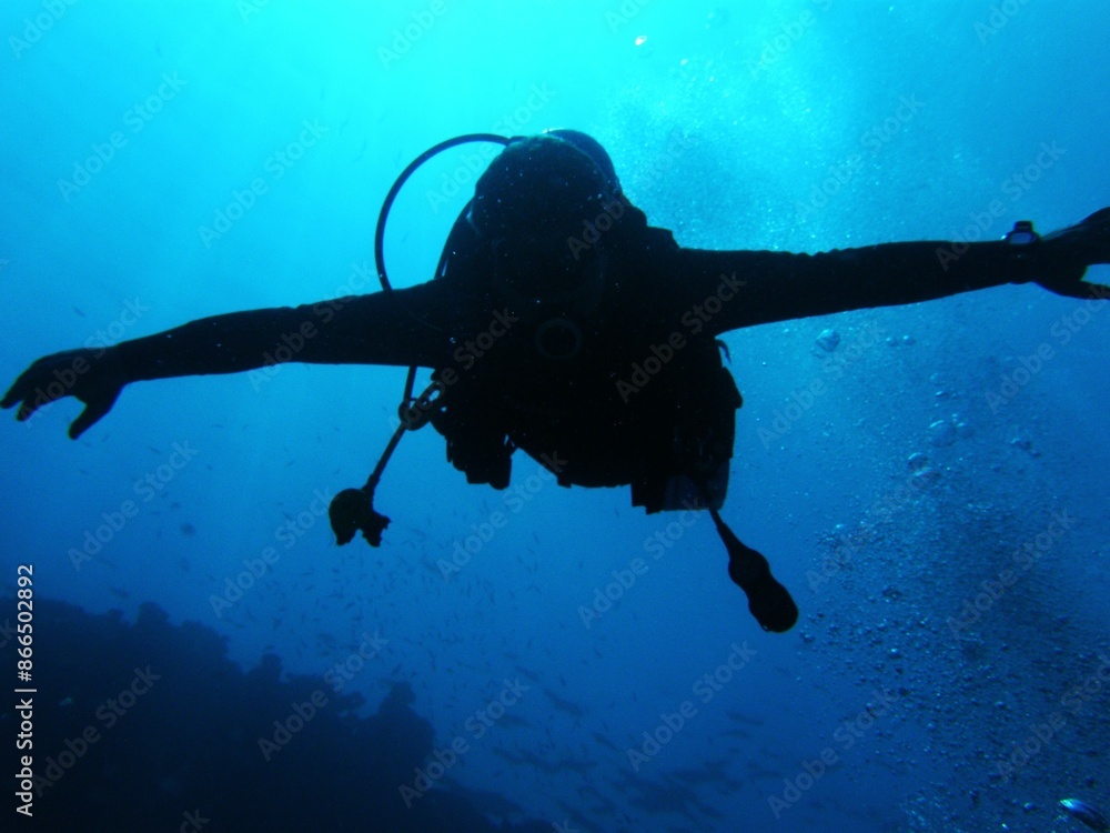 custom made wallpaper toronto digital"Black Sea" does not mean "a sea with dark, black water", but "a sea in the north". After all, the Turks called this sea Kara-Deniz, the ancient tribes that spoke Iranian languages ​​- Ahshav (dark),