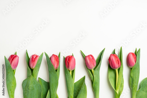 Spring Tulip Flowers On White Background. Abstract Natural Floral Frame