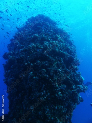 Wallpaper Mural "Black Sea" does not mean "a sea with dark, black water", but "a sea in the north". After all, the Turks called this sea Kara-Deniz, the ancient tribes that spoke Iranian languages ​​- Ahshav (dark),  Torontodigital.ca