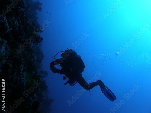 Wallpaper Mural "Black Sea" does not mean "a sea with dark, black water", but "a sea in the north". After all, the Turks called this sea Kara-Deniz, the ancient tribes that spoke Iranian languages ​​- Ahshav (dark),  Torontodigital.ca