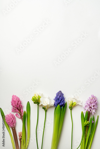 Wedding Invitation Elegance Floral Border. Spring Flowers On White Background.