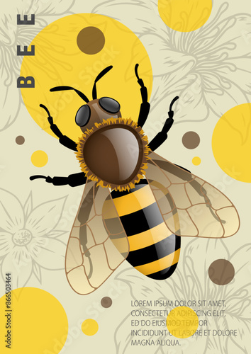 Flower bee vintage flyer colorful