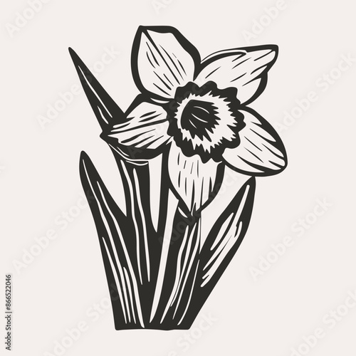 Hand-drawn vector daffodil flower clipart in scandi folk art style in block print style. Simple monochrome linocut illustration.
