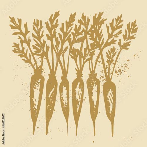 Vector illustration of hand drawn carrots. Ink drawing, graphic style. Beautiful food design elements, linocut style