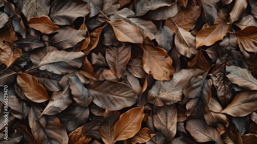 dry brown tree leaves texture close up background