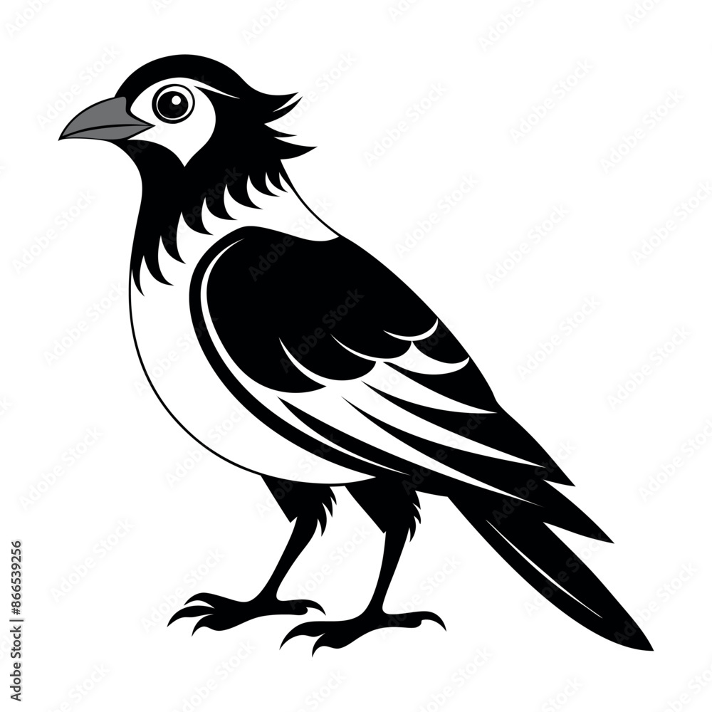 Obraz premium Flat Vector Illustration Silhouette Beautiful Birds collection | Bird Icon symbol Silhouette vector illustration isolated on a white background