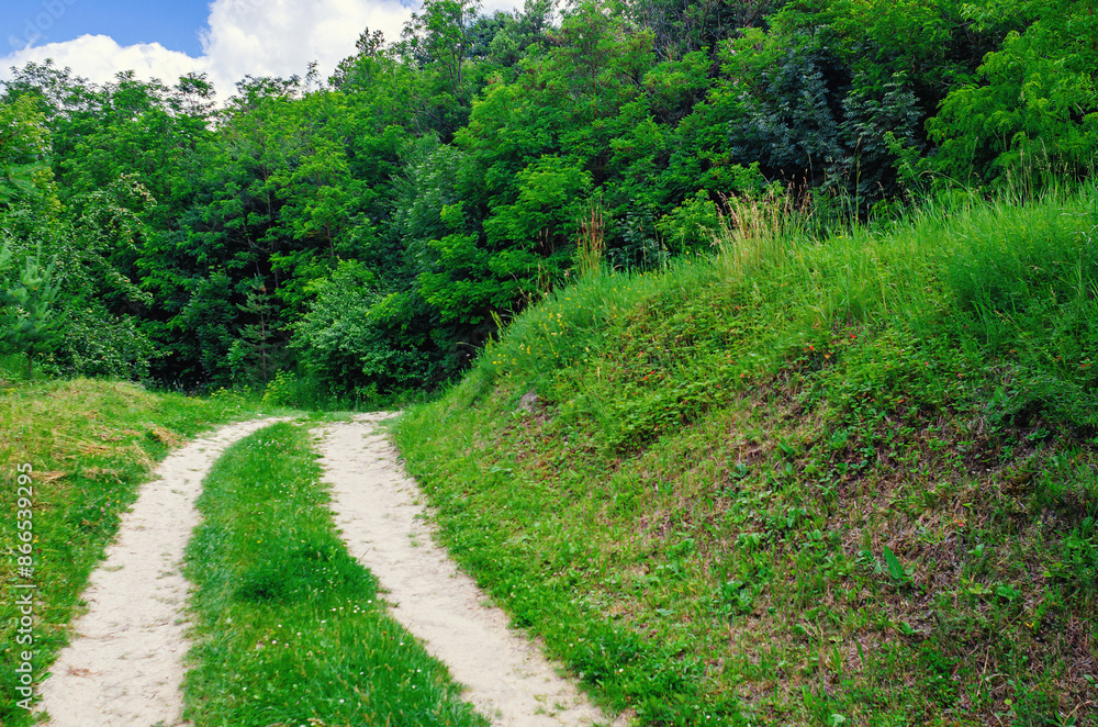 Naklejka premium Calm landscape with trees, country road, sky with clouds. Country road in green forest in summer.