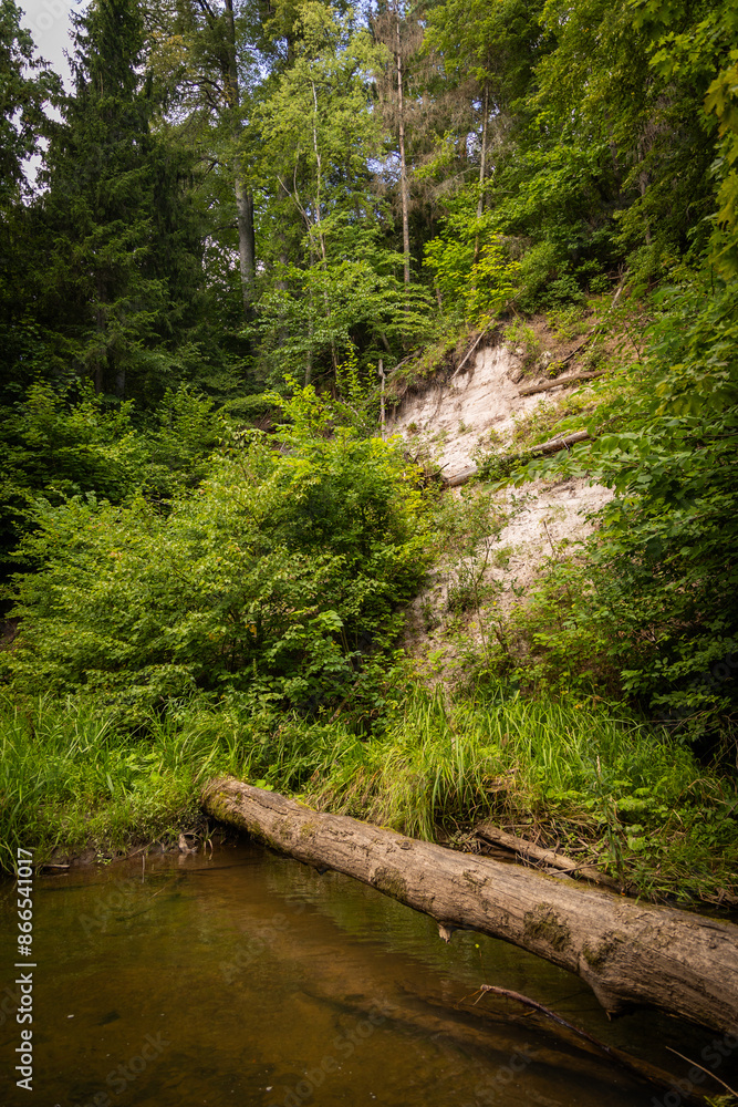 Small river flowing though the forest with fallen trees. Natural summer landscape of woodlands in Latvia, Northern Europe. Small river flowing though the forest with fallen trees. Natural summer landscape of woodlands in Latvia, Northern Europe.