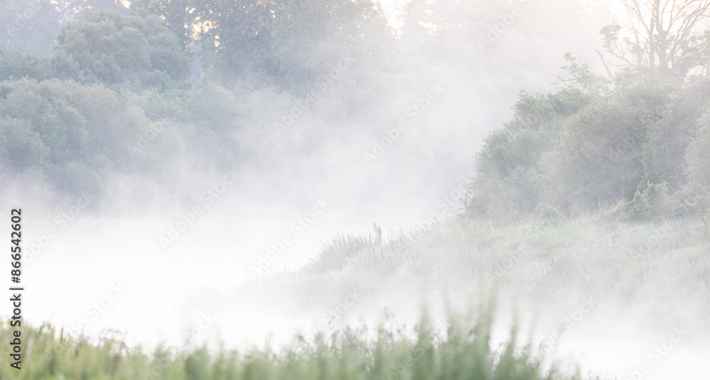 A beautiful misty summer morning at the banks of the river. Natural landscape of rural Latvia. A beautiful misty summer morning at the banks of the river. Natural landscape of rural Latvia.