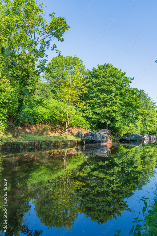 Beautiful tree reflections on the canal on a summer morning Beautiful tree reflections on the canal on a summer morning