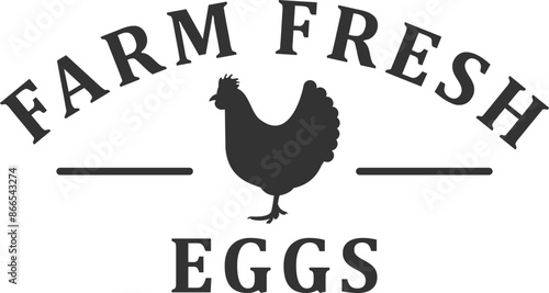 Farm fresh eggs, chicken vector graphic