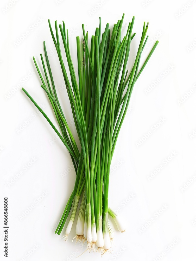 A bunch of green onions are displayed on a white background A bunch of green onions are displayed on a white background