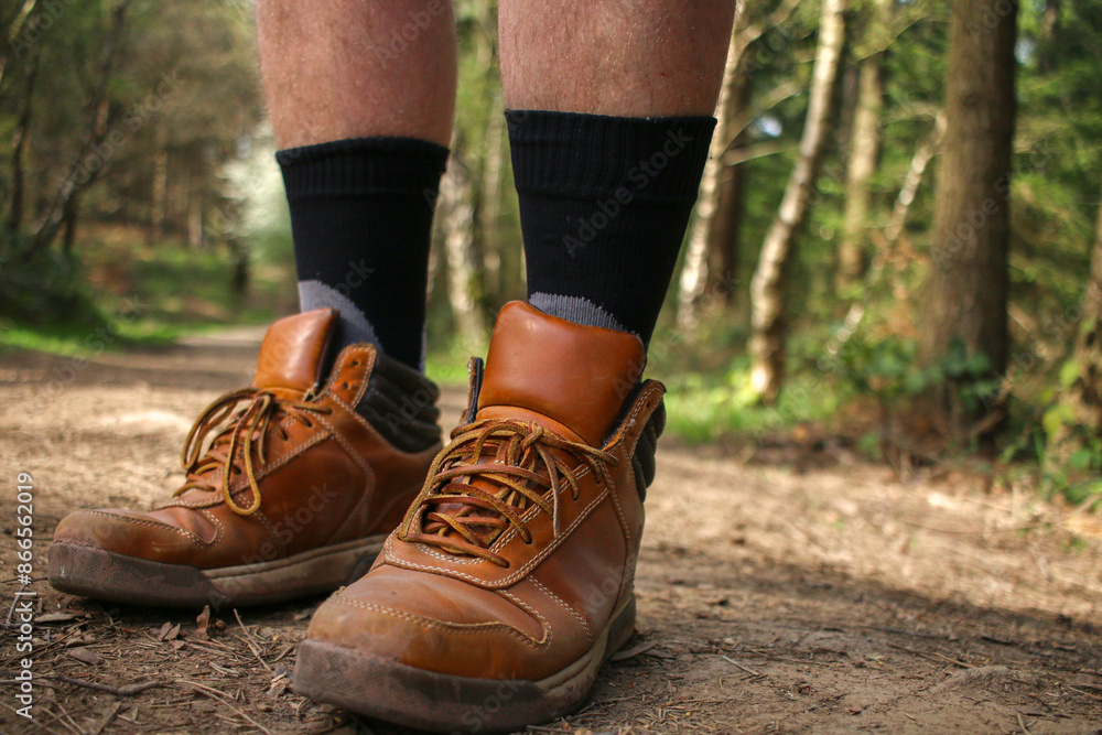 hiking boots with hiking socks, in forest hiking boots with hiking socks, in forest