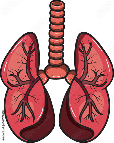 cuerpo humano 03.eps