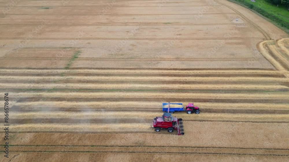 Drone Aerial view of wheat harvest. Drone shot flying over combine harvester working on wheat field Drone Aerial view of wheat harvest. Drone shot flying over combine harvester working on wheat field