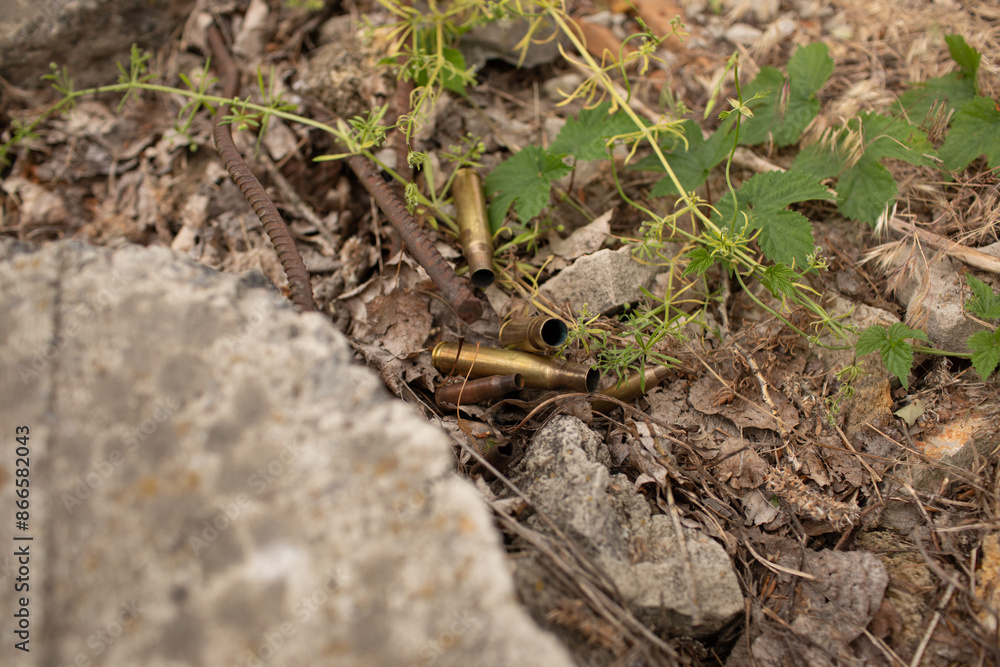 several large and small bullet casings on the grass several large and small bullet casings on the grass