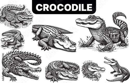 Tatoo line arts editable size changeable premium quality 