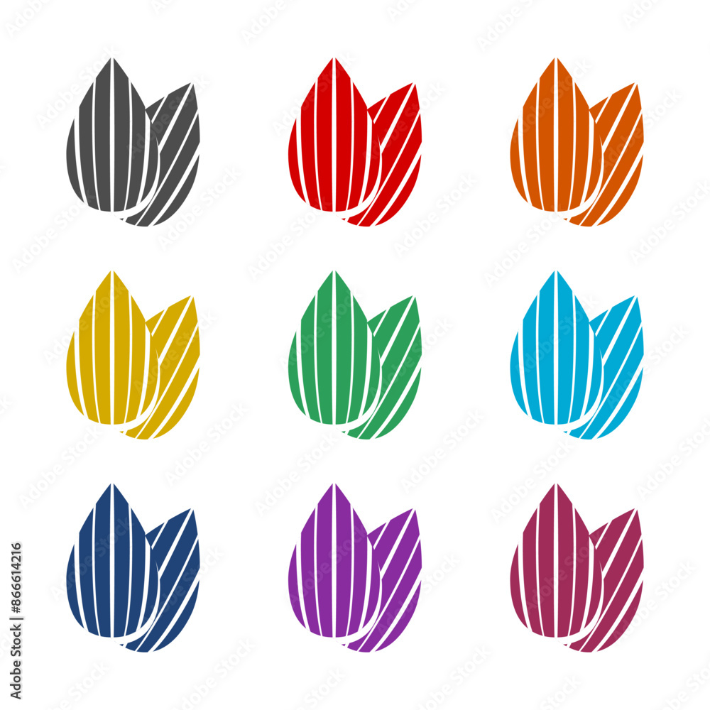 Fototapeta premium Almond icon isolated on white background. Set icons colorful