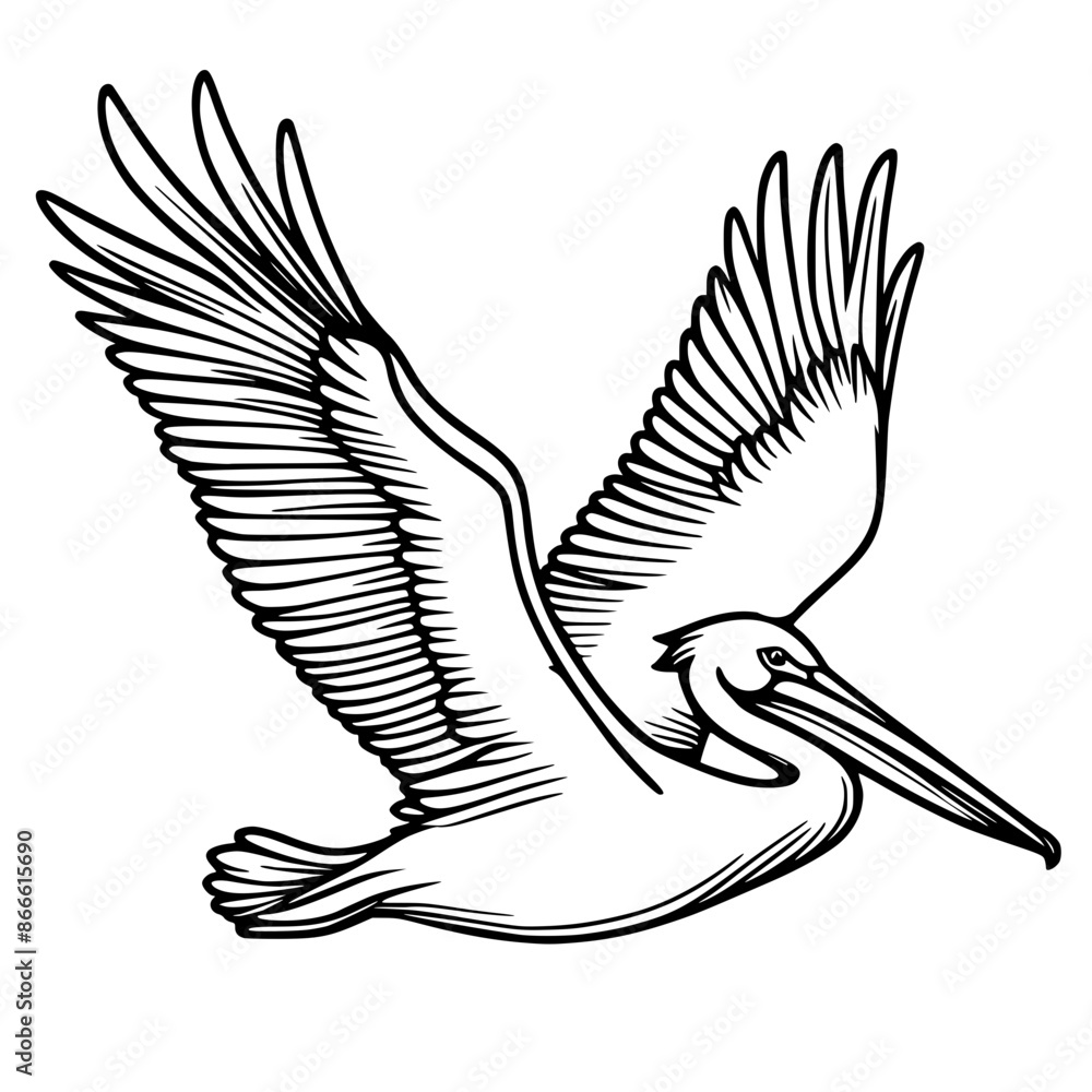 Obraz premium Flying pelican bird vector illustration
