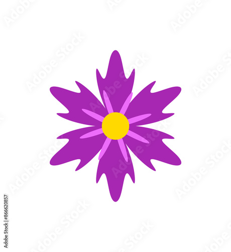 Beautiful flower on transparent background. Spring flower graphic design