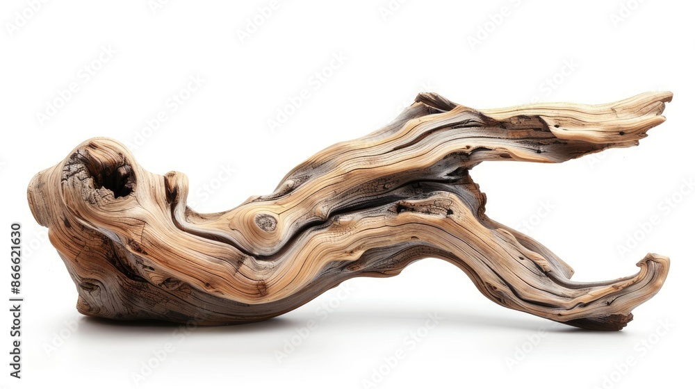 Isolated driftwood sculpture with smooth contours, perfect for decorative concepts Isolated driftwood sculpture with smooth contours, perfect for decorative concepts