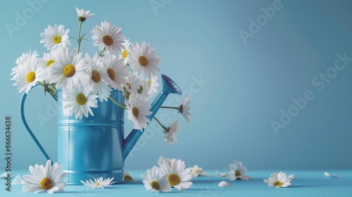 The blue watering can