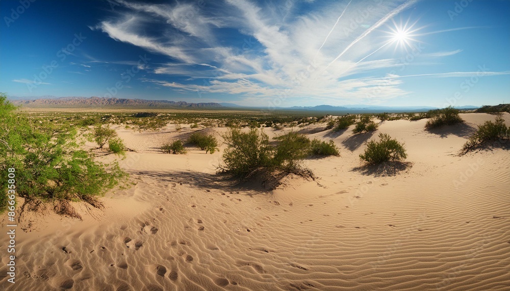 Wide angle, image of a sandy mexican desert land during midday
